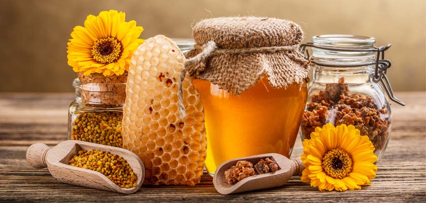 лечебные свойства меда